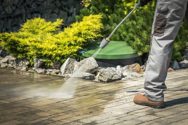 Best Driveway Pressure Washing  in Lakeland, FL