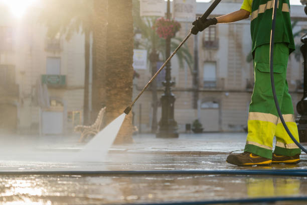 Animal Enclosure Cleaning in Lakeland, FL